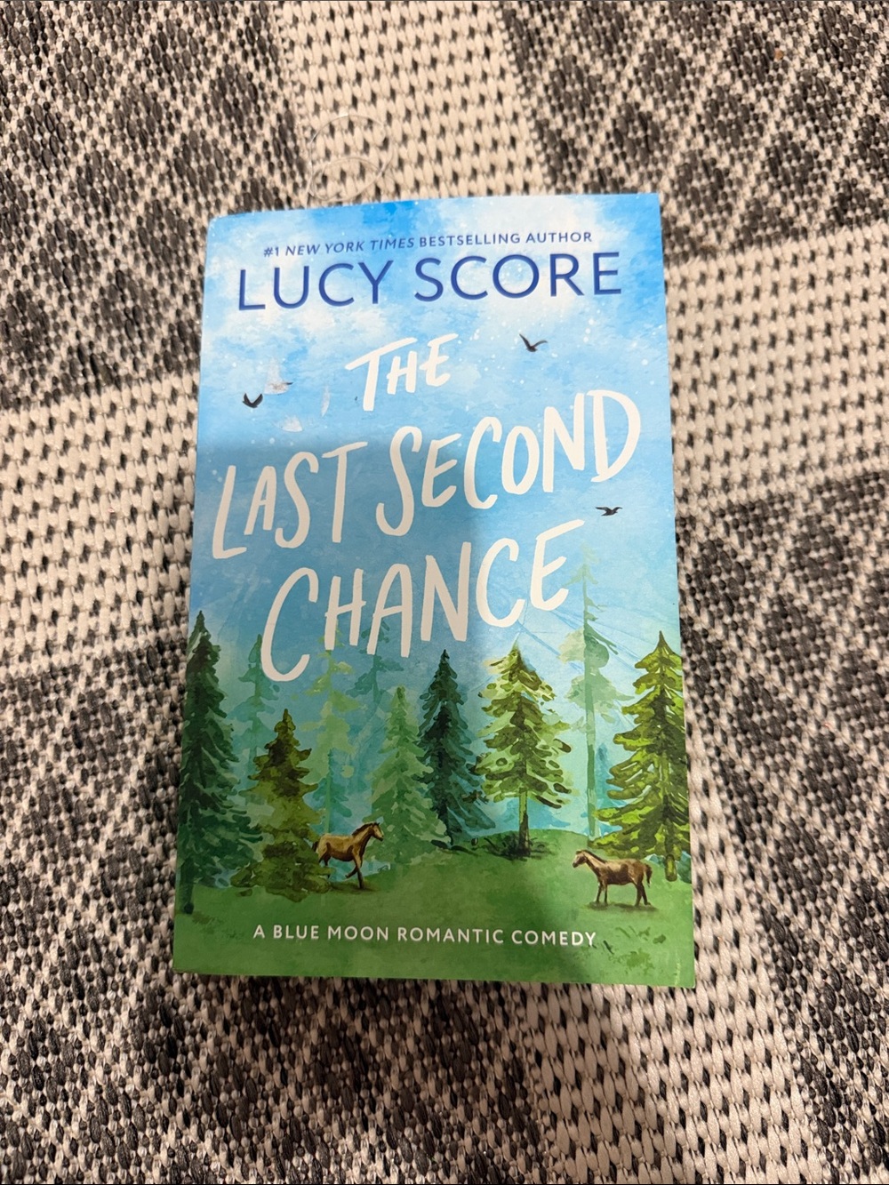 3/20$ Lucy Score "The Last Second Chance"